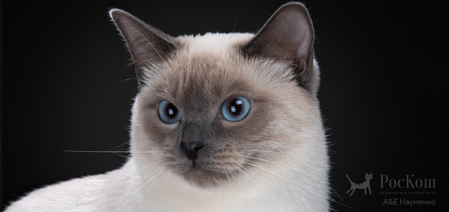 Дом Волгиных