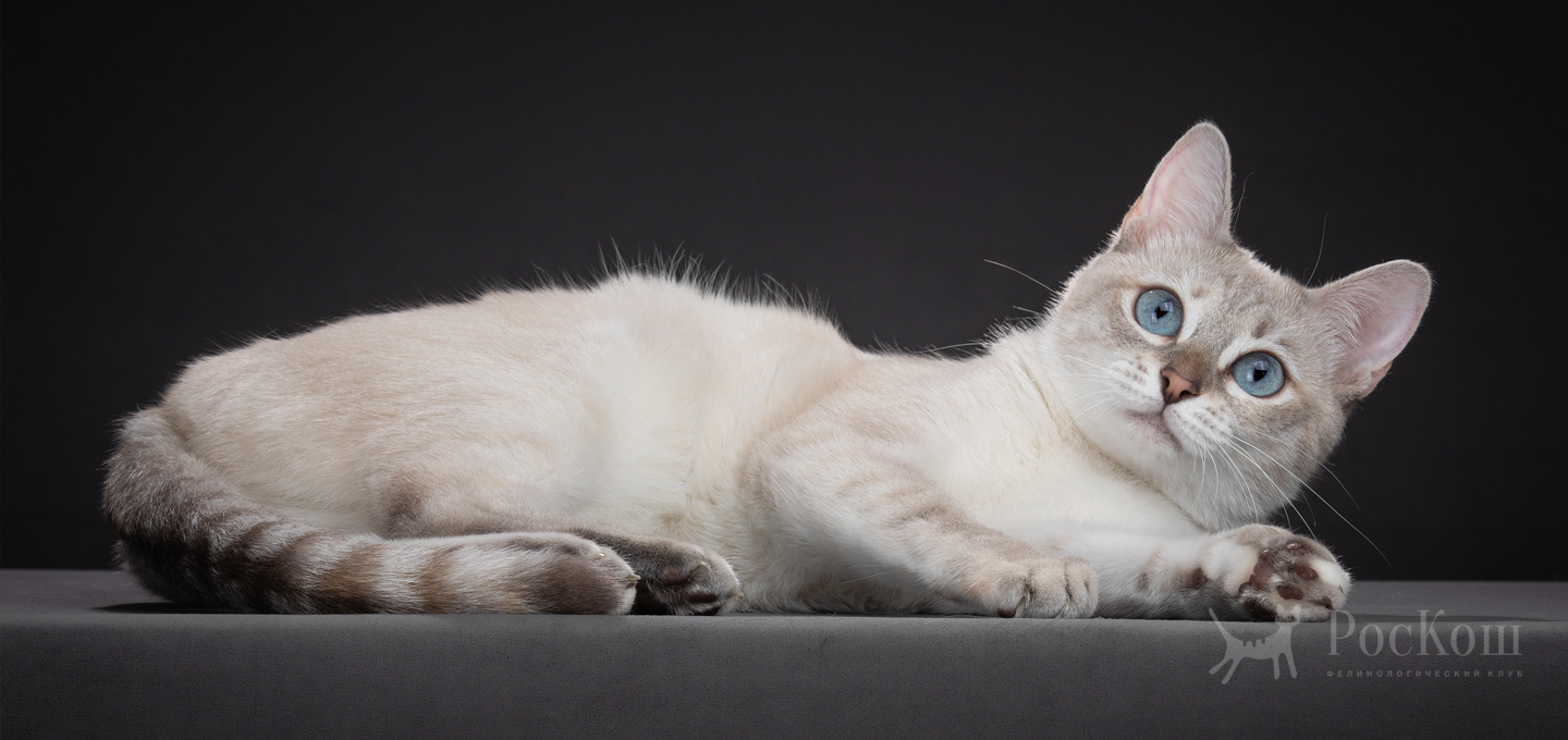 Тайская Легенда