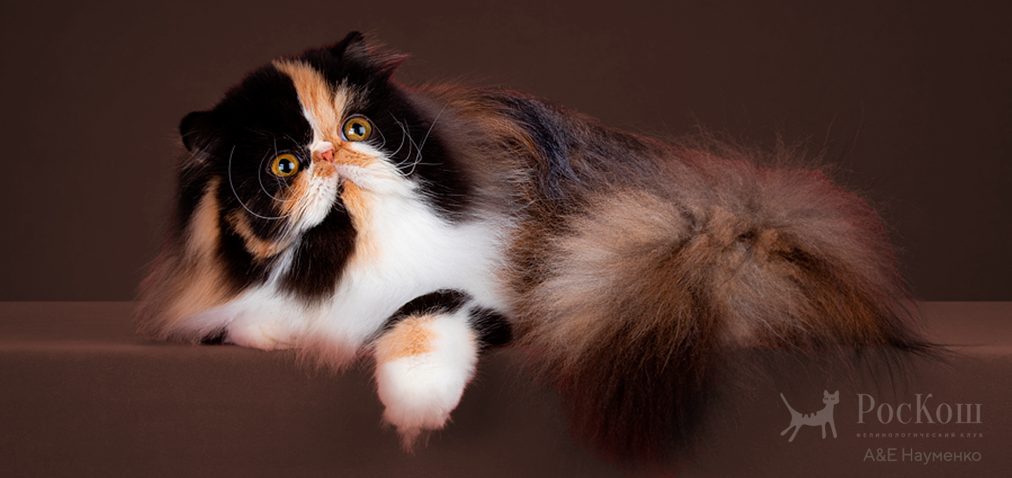 Персидская