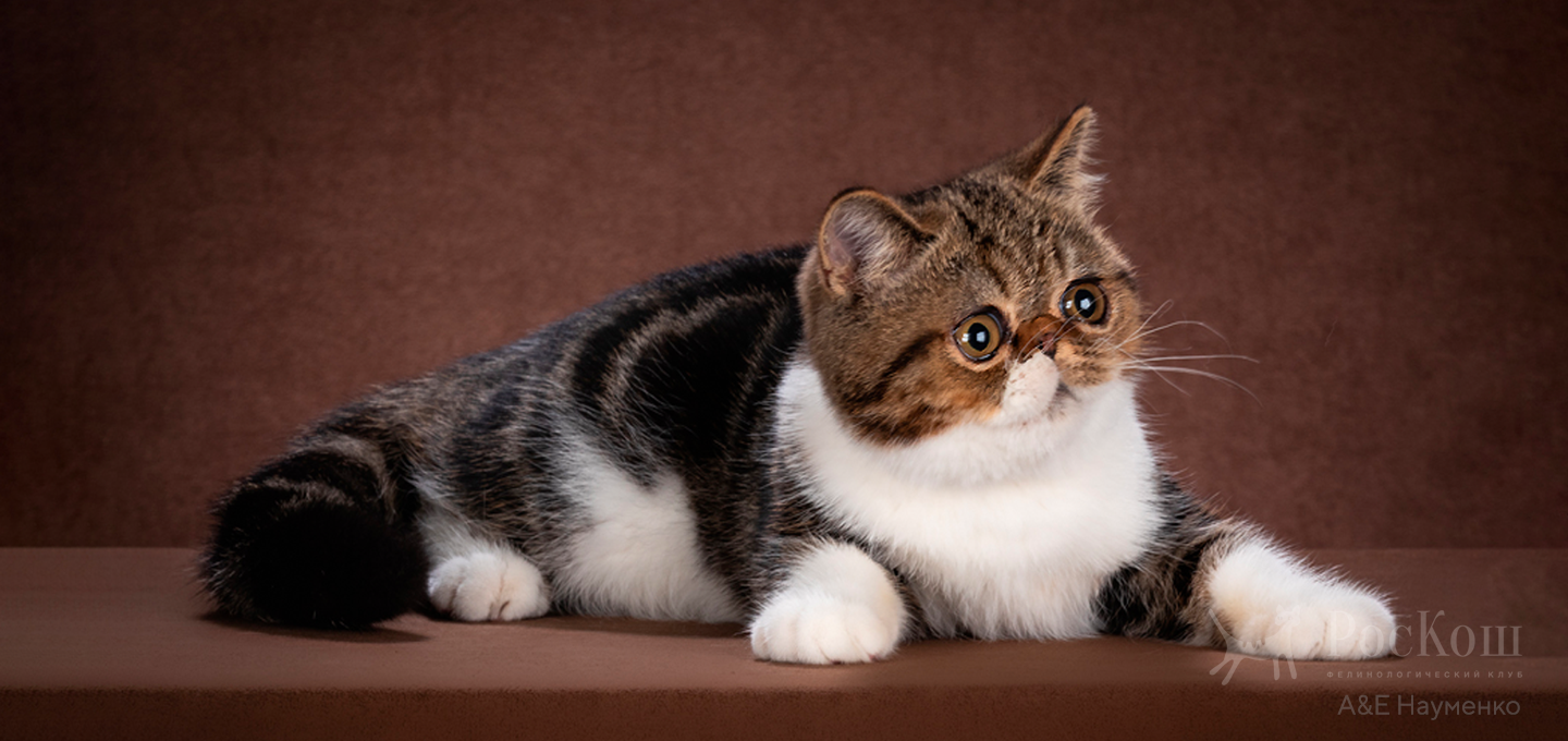 Экзотическая